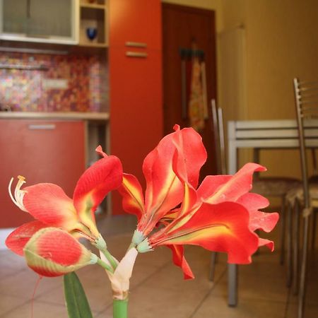 Pisa Town Bed & Breakfast Luaran gambar