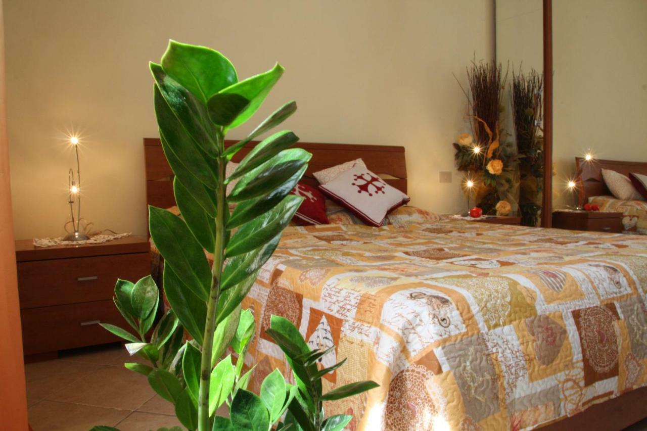 Pisa Town Bed & Breakfast Luaran gambar