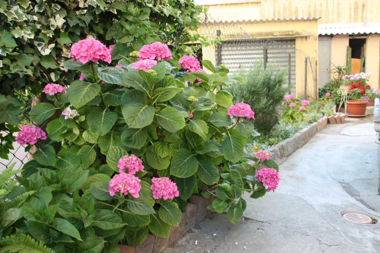 Pisa Town Bed & Breakfast Luaran gambar