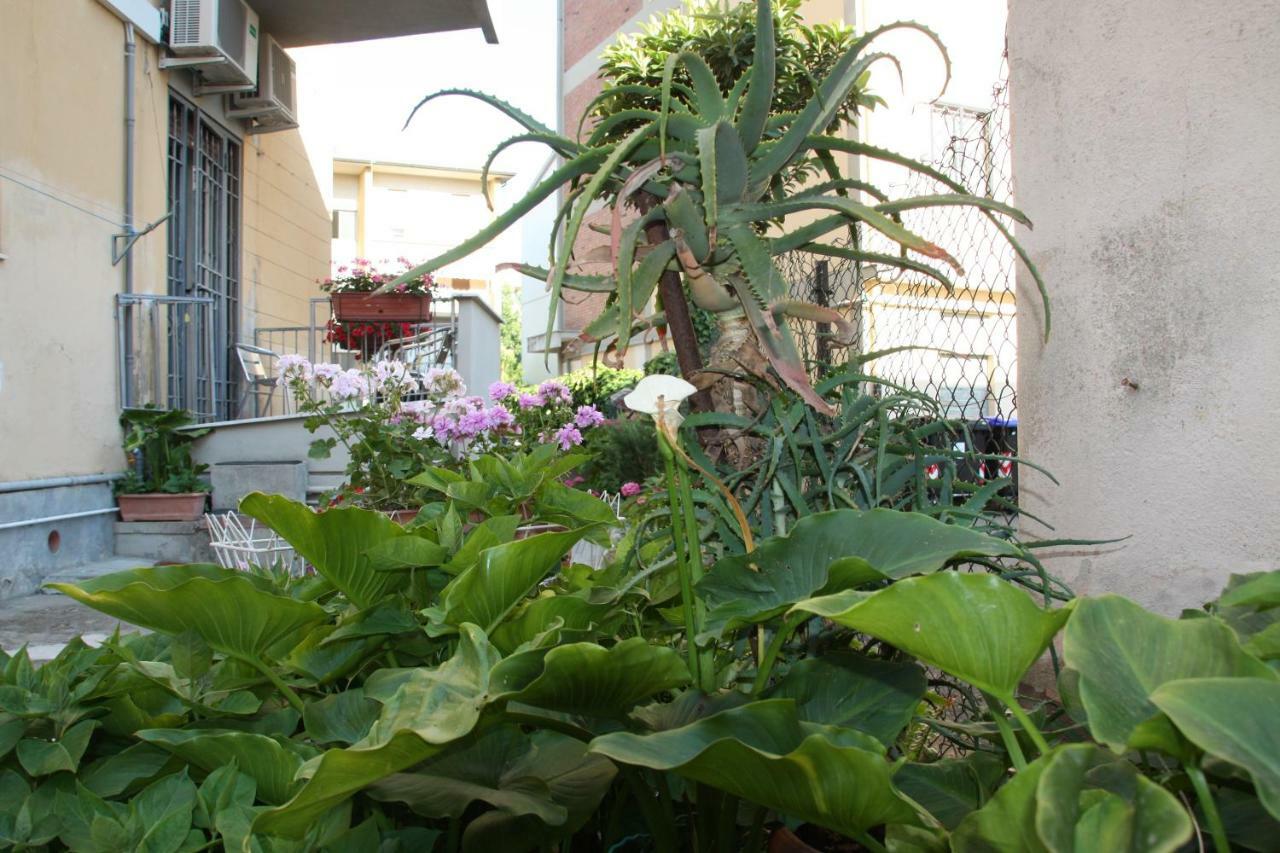 Pisa Town Bed & Breakfast Luaran gambar