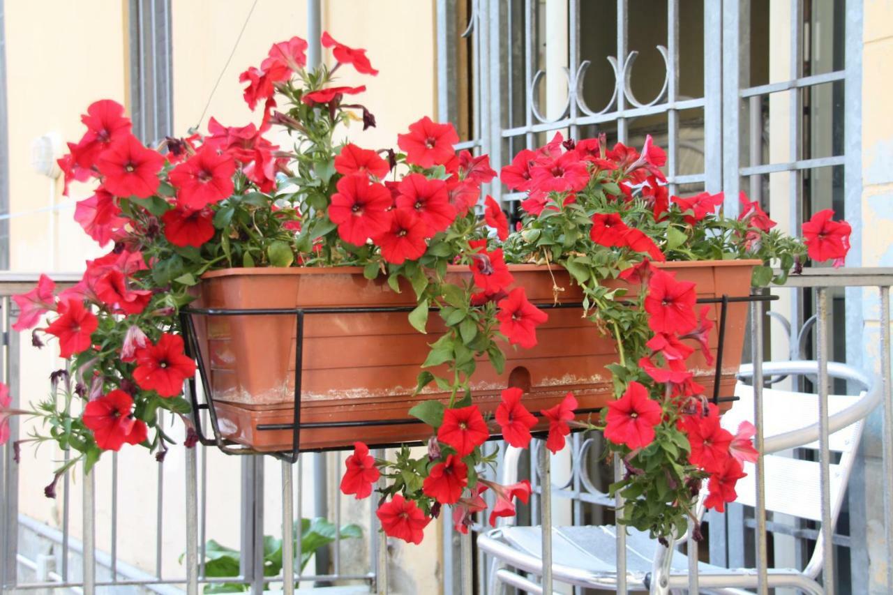 Pisa Town Bed & Breakfast Luaran gambar