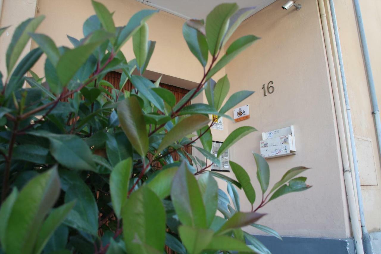 Pisa Town Bed & Breakfast Luaran gambar